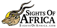 Sights Of Africa Logo